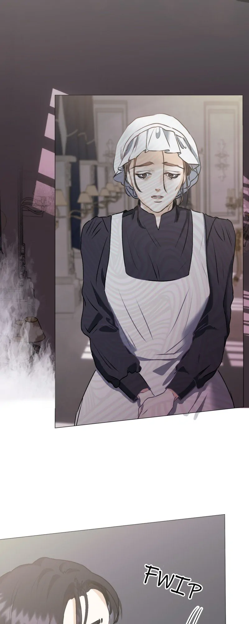 49502695 800 2000 59372